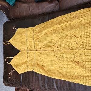 Francescas lace dress, mustard yellow size medium
